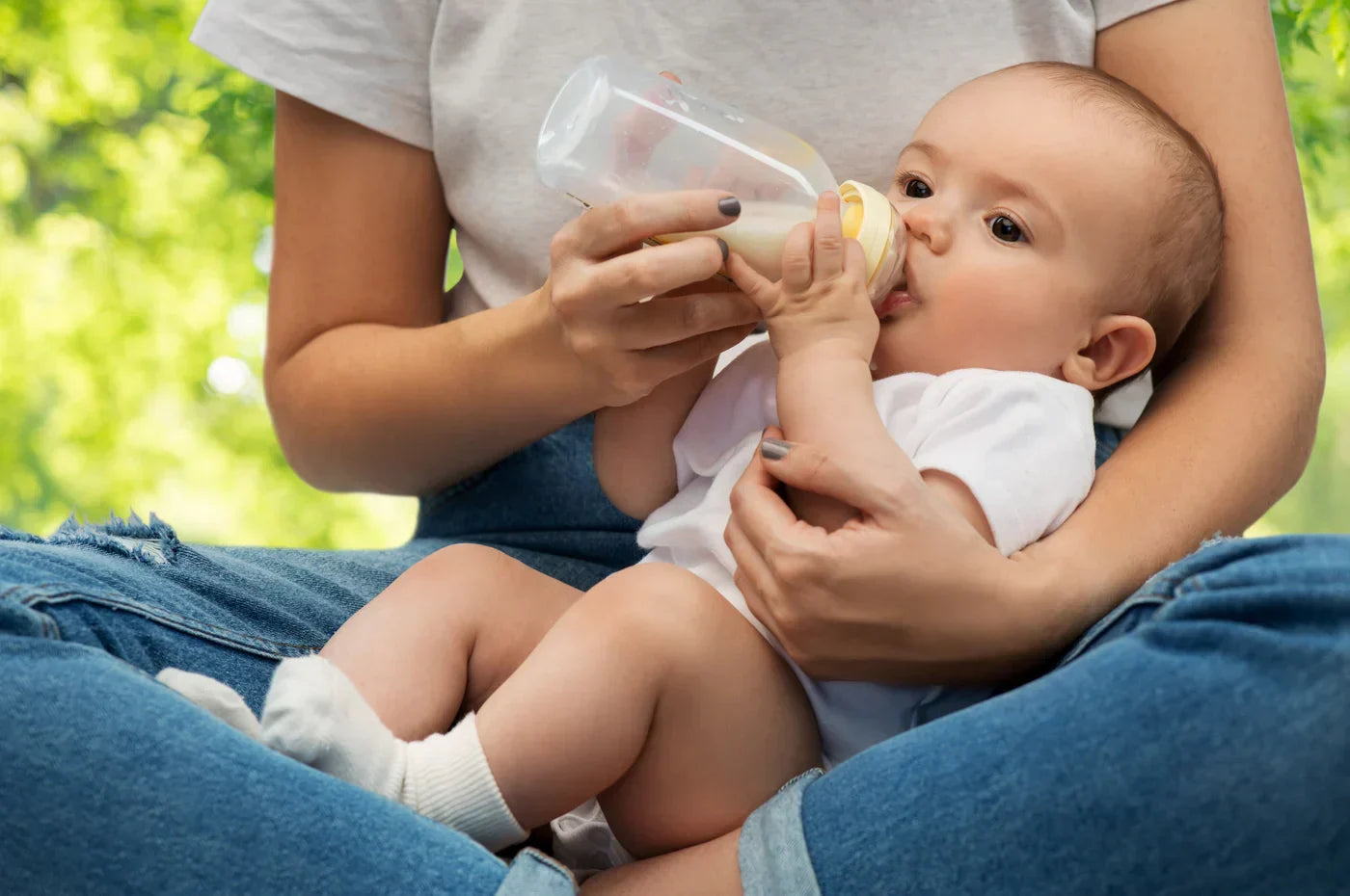 Combination Feeding Guide