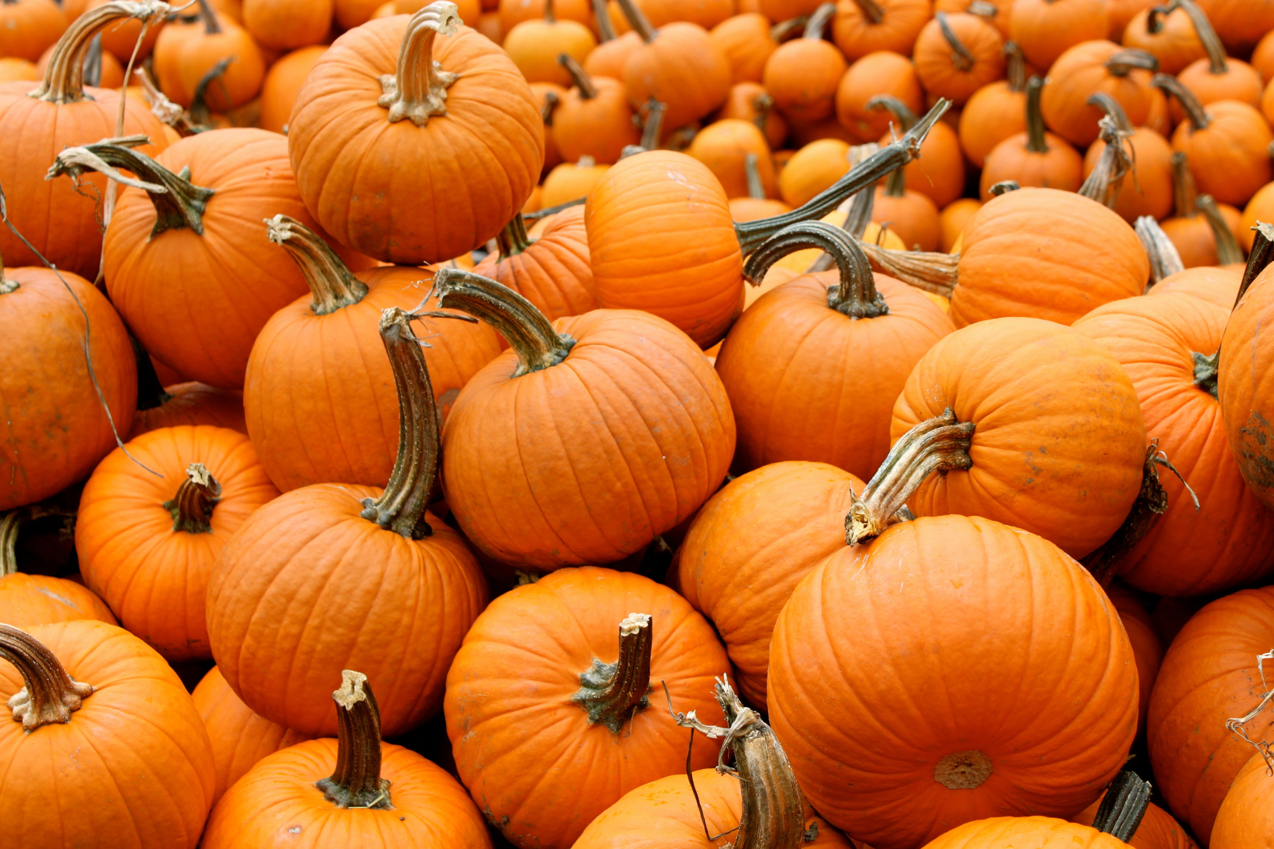 Surviving Your First Halloween as a New Parent: Tips for Keeping it Stress-Free