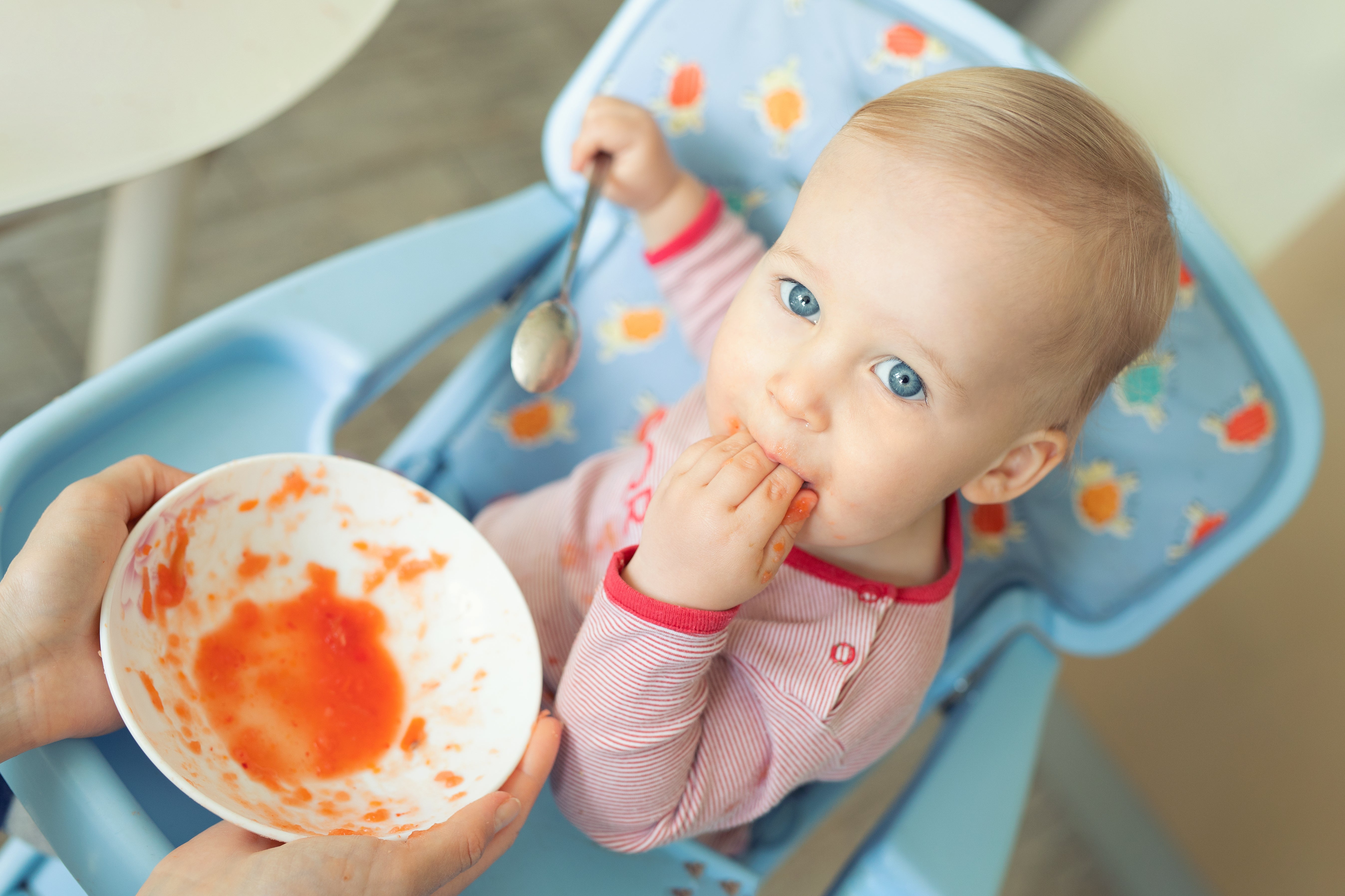 The Perfect Tomato Soup