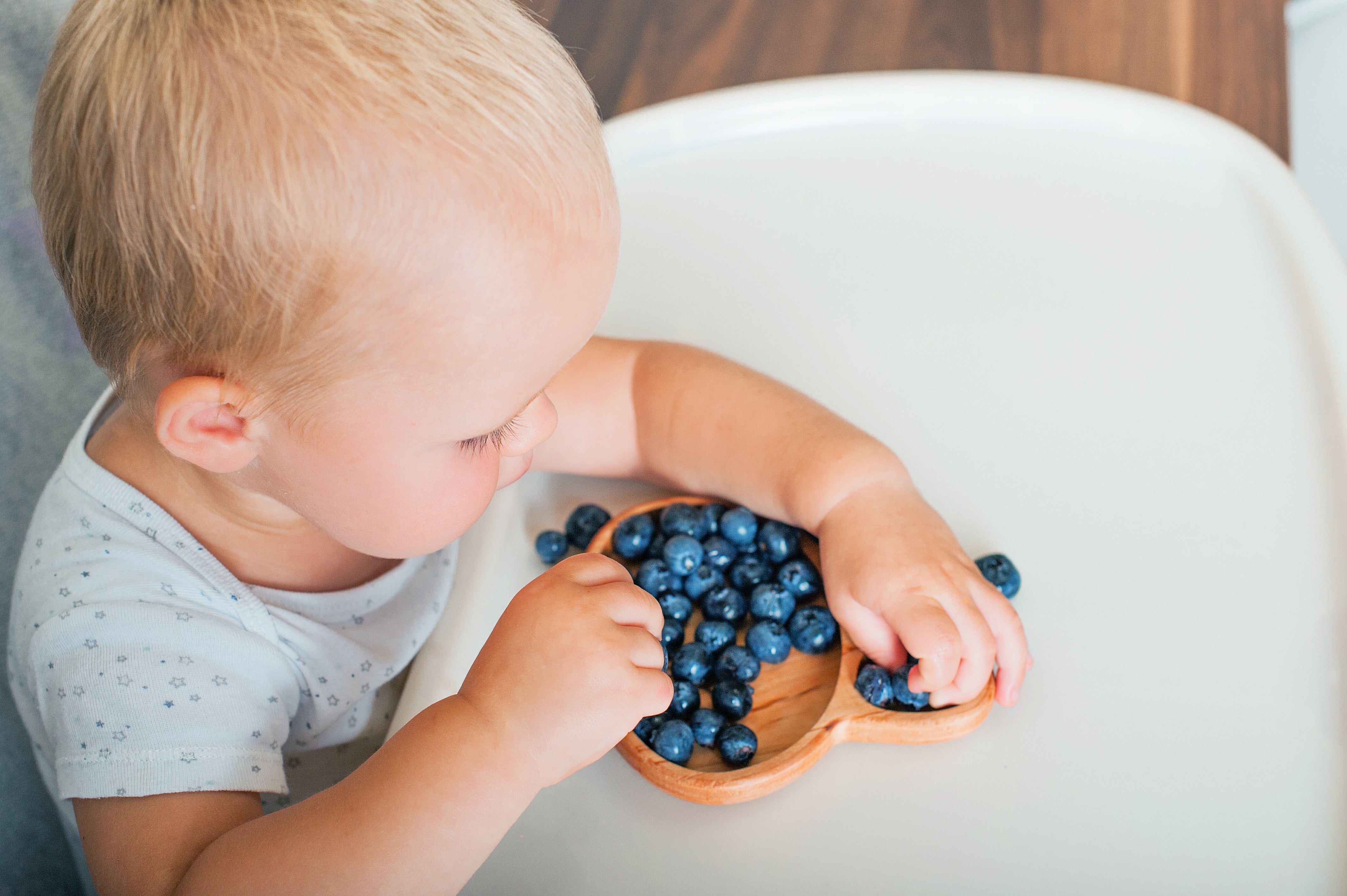 7 Finger-Licking Good Blueberry Recipes for Babies