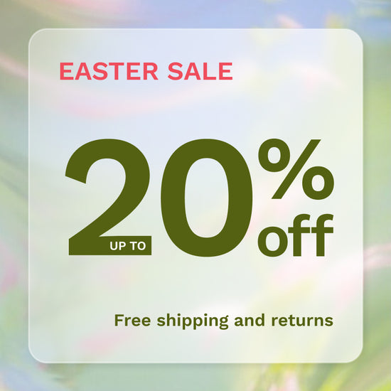 Top products on Sale