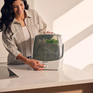 SFSD_life_image.webp